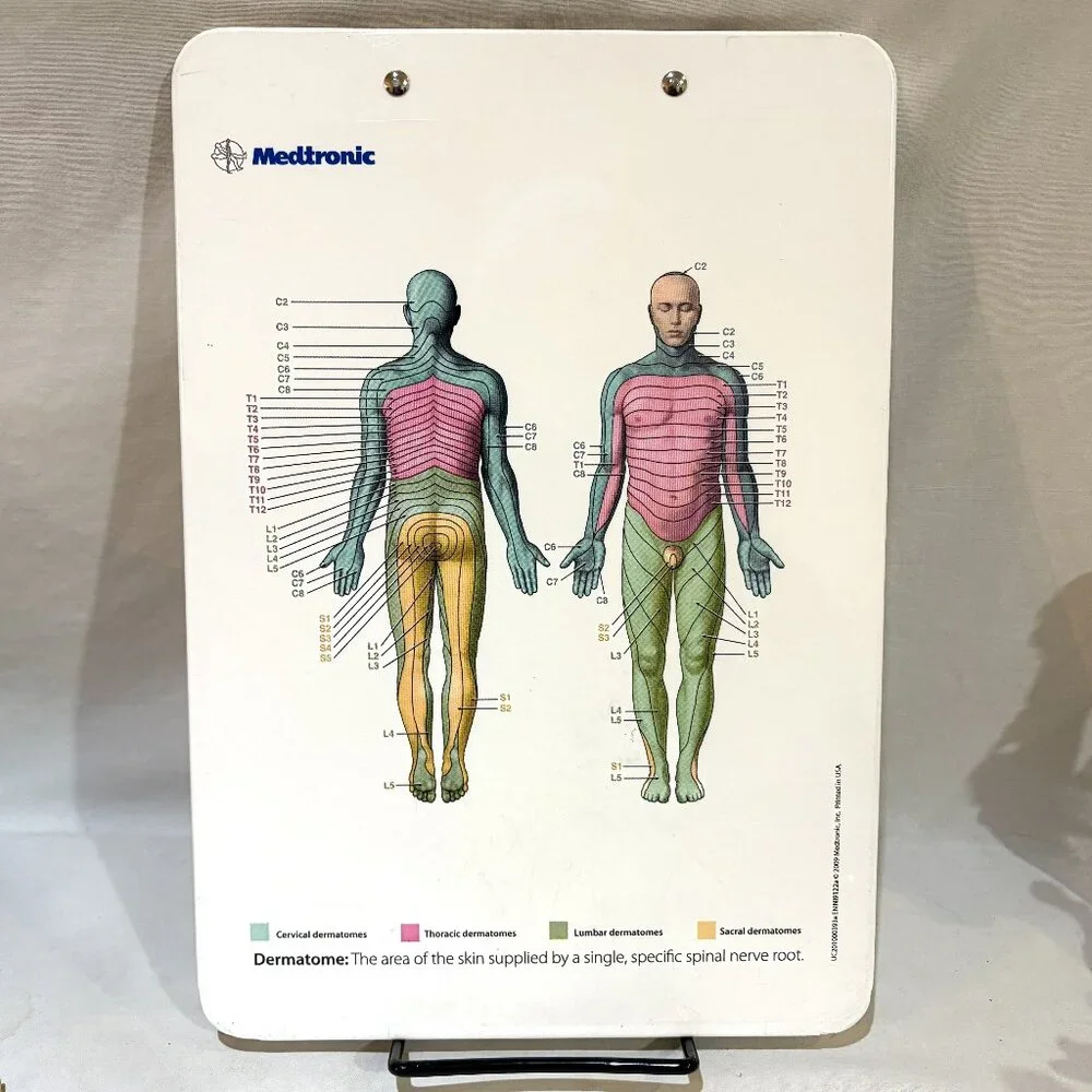 Medtronic Pharmaceutical Drug Rep Acrylic Clipboard Dermatomes Chart